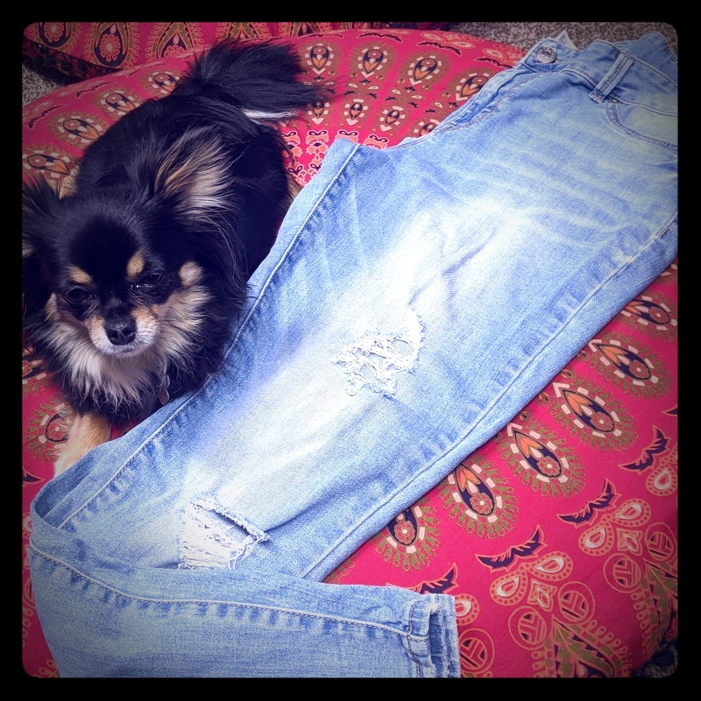Distressed jeans